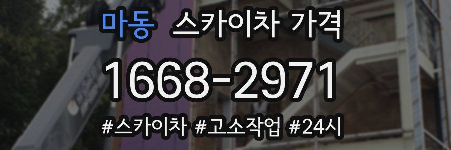 마동 스카이차 가격