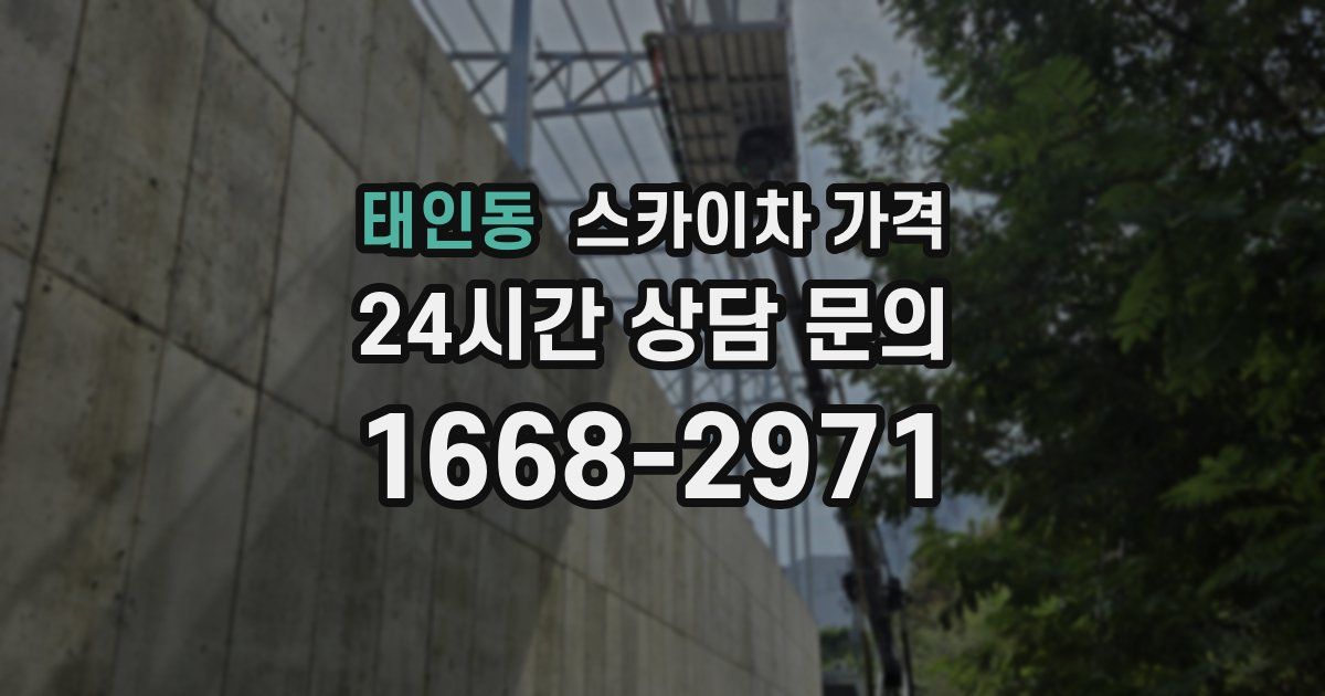 태인동 스카이차 가격