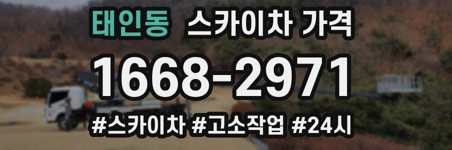 태인동 스카이차 가격