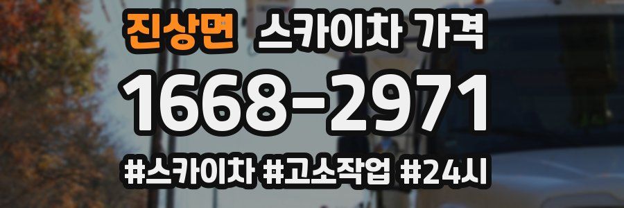 진상면 스카이차 가격