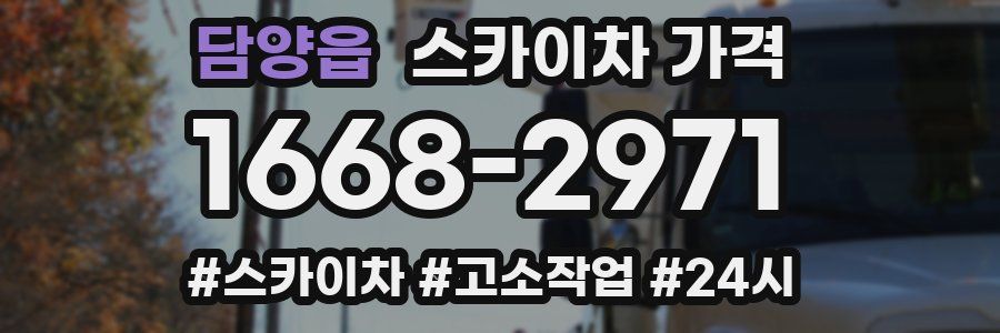 담양읍 스카이차 가격