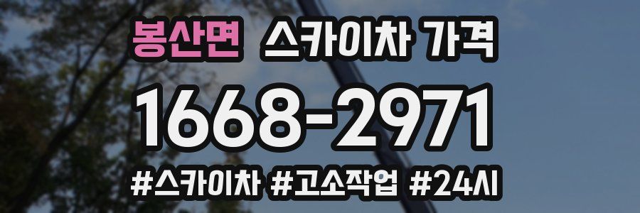 봉산면 스카이차 가격