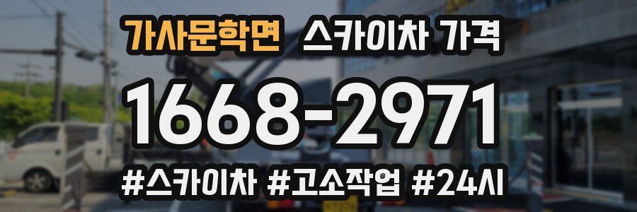 가사문학면 스카이차 가격