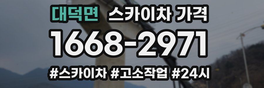 대덕면 스카이차 가격