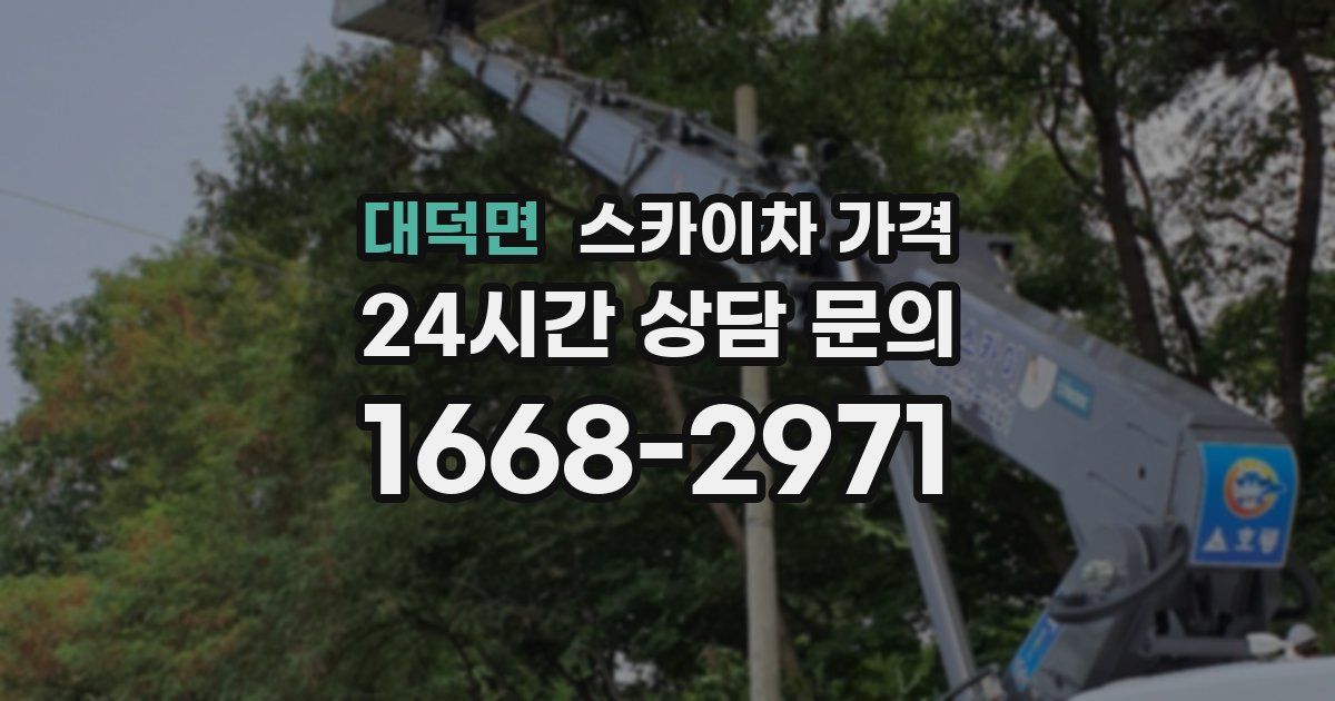 대덕면 스카이차 가격