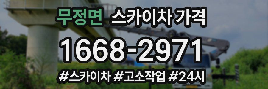 무정면 스카이차 가격