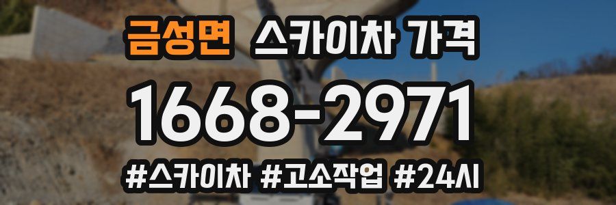 금성면 스카이차 가격
