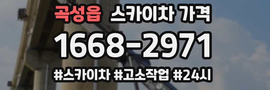 곡성읍 스카이차 가격