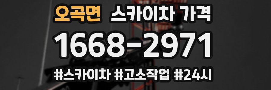 오곡면 스카이차 가격