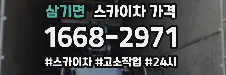 삼기면 스카이차 가격