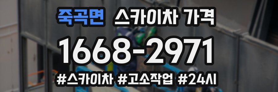 죽곡면 스카이차 가격