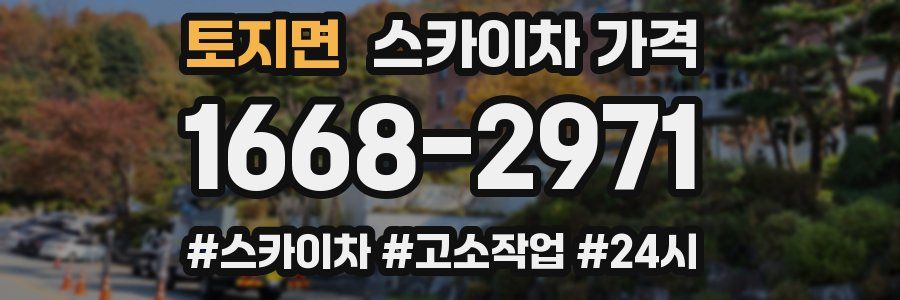 토지면 스카이차 가격