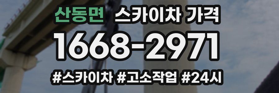 산동면 스카이차 가격