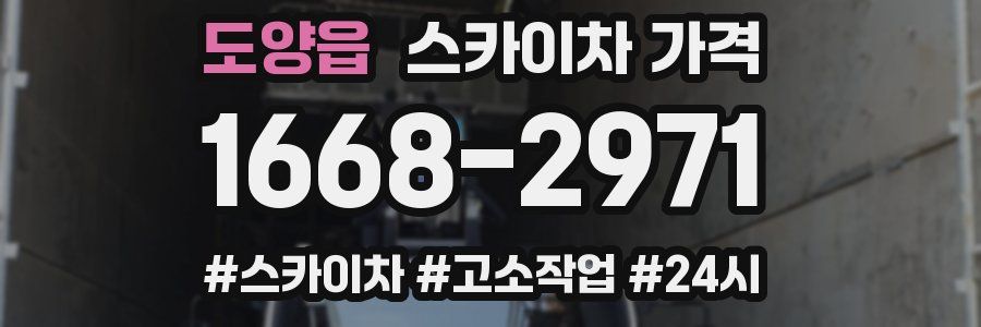 도양읍 스카이차 가격