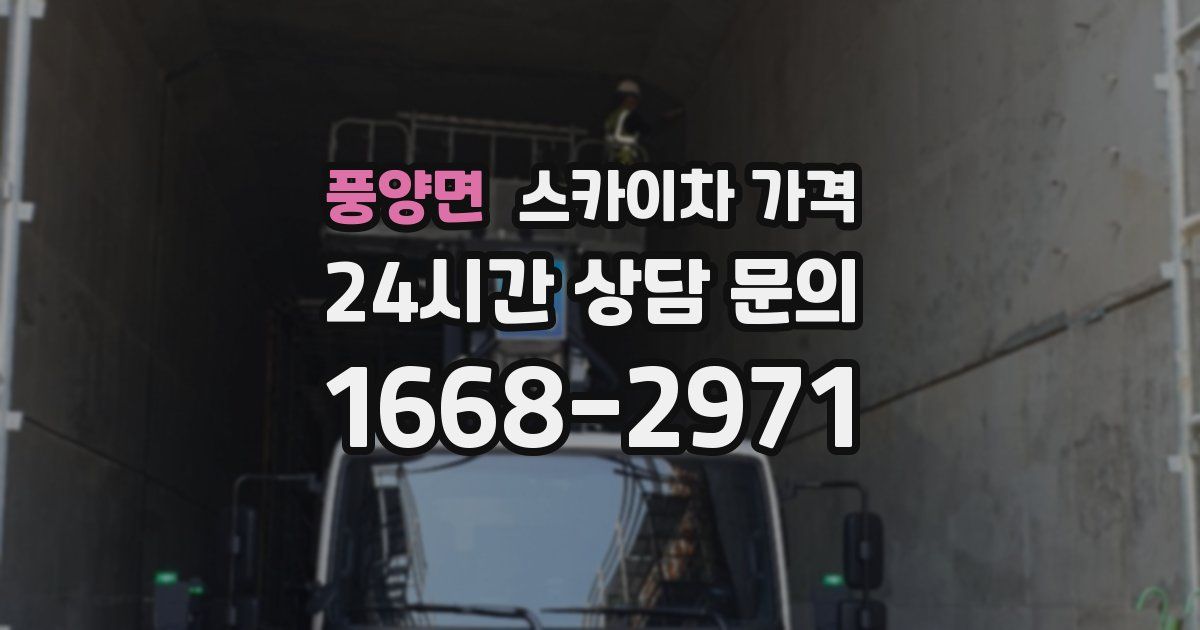 풍양면 스카이차 가격