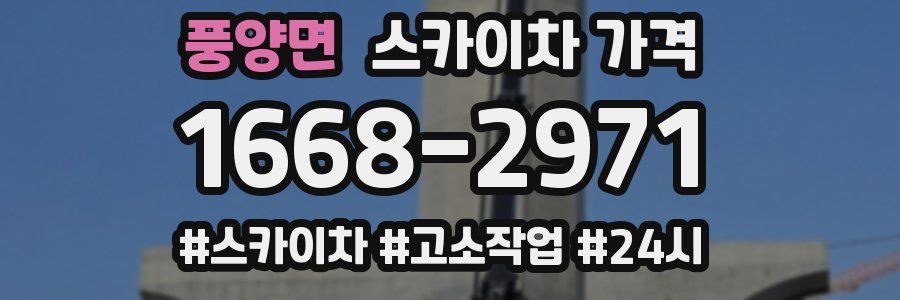 풍양면 스카이차 가격