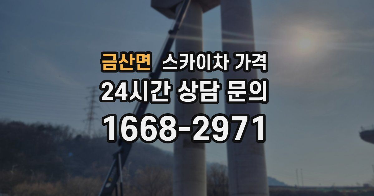 금산면 스카이차 가격