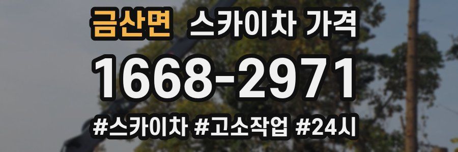 금산면 스카이차 가격