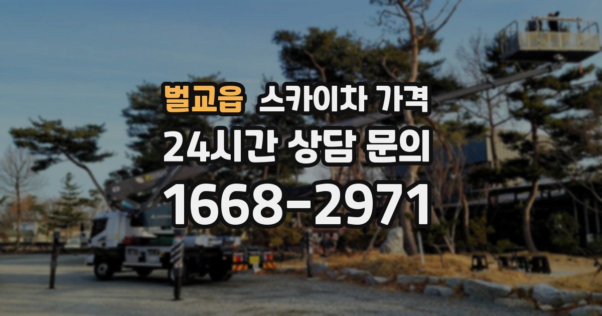 벌교읍 스카이차 가격