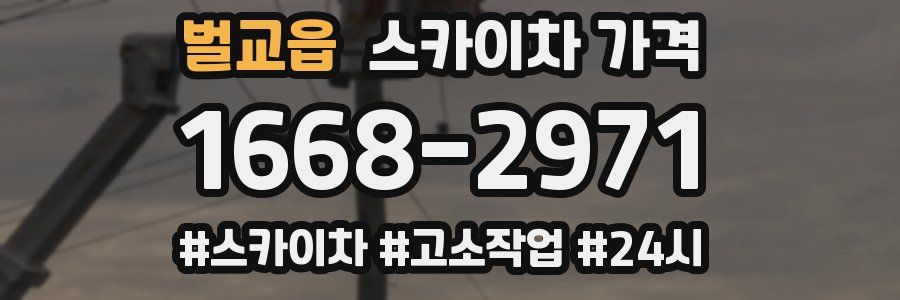 벌교읍 스카이차 가격