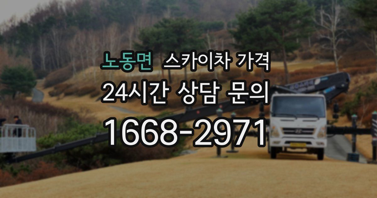 노동면 스카이차 가격