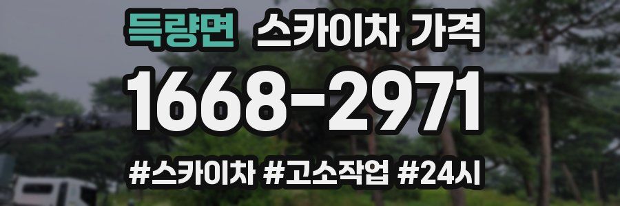 득량면 스카이차 가격