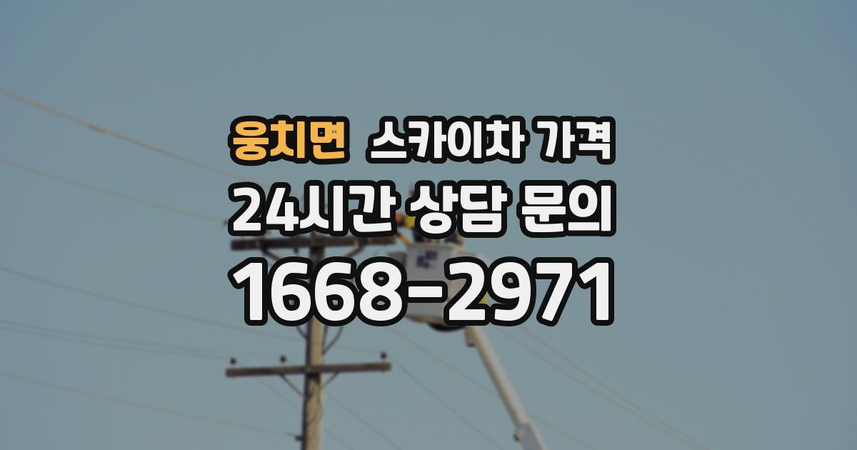 웅치면 스카이차 가격