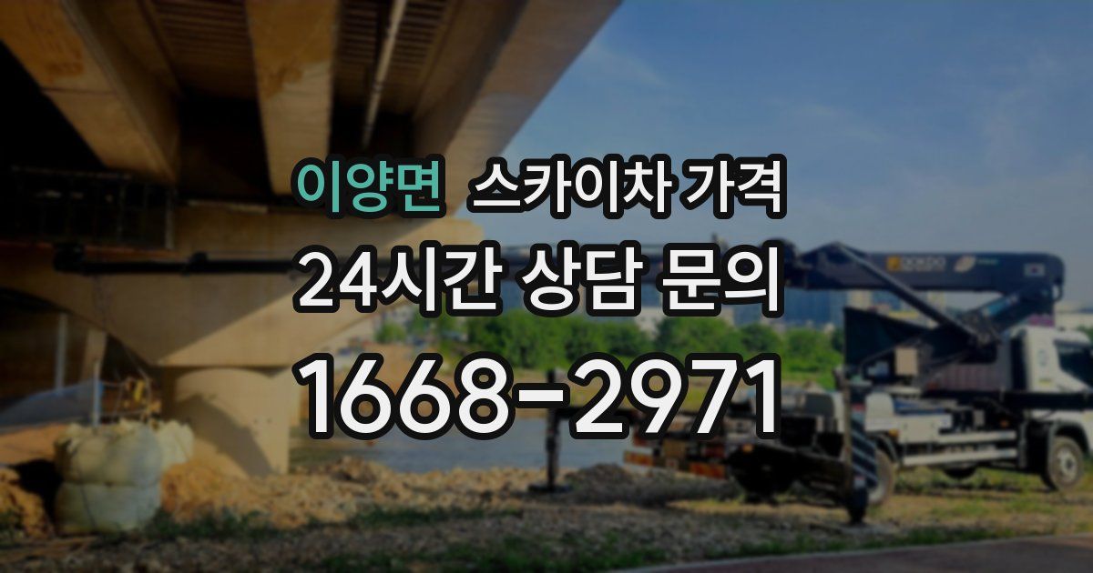 이양면 스카이차 가격