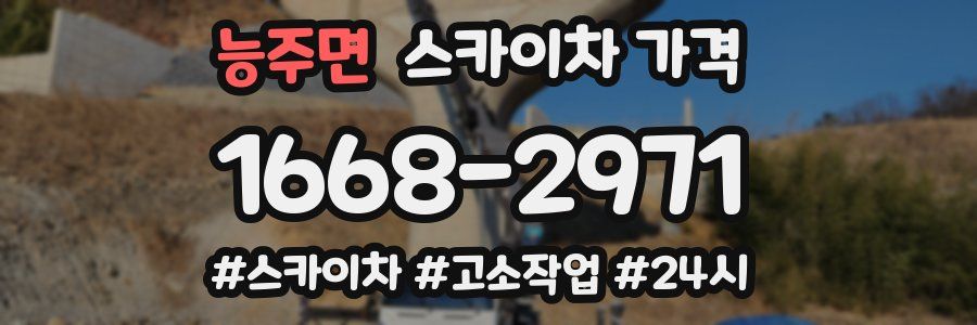 능주면 스카이차 가격