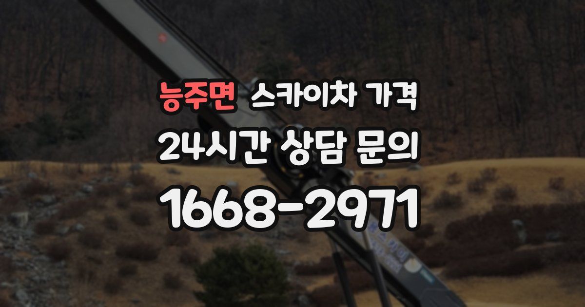 능주면 스카이차 가격