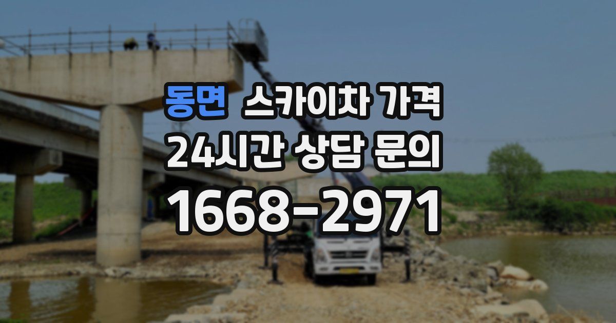 동면 스카이차 가격