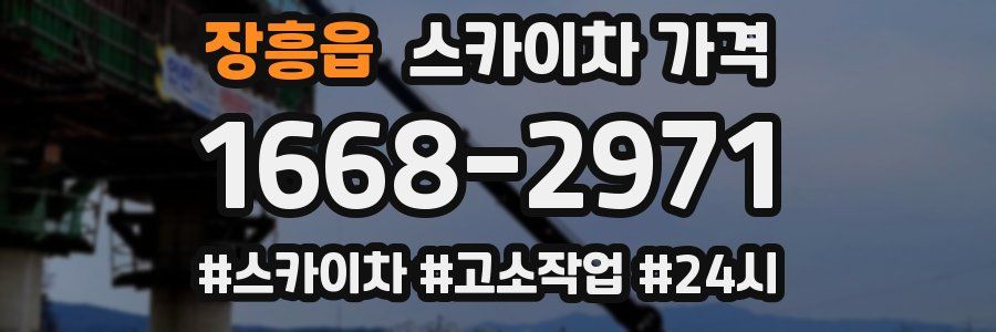 장흥읍 스카이차 가격