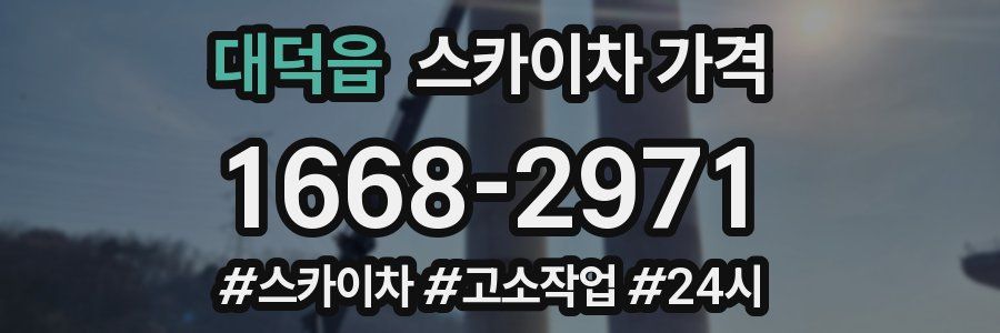 대덕읍 스카이차 가격