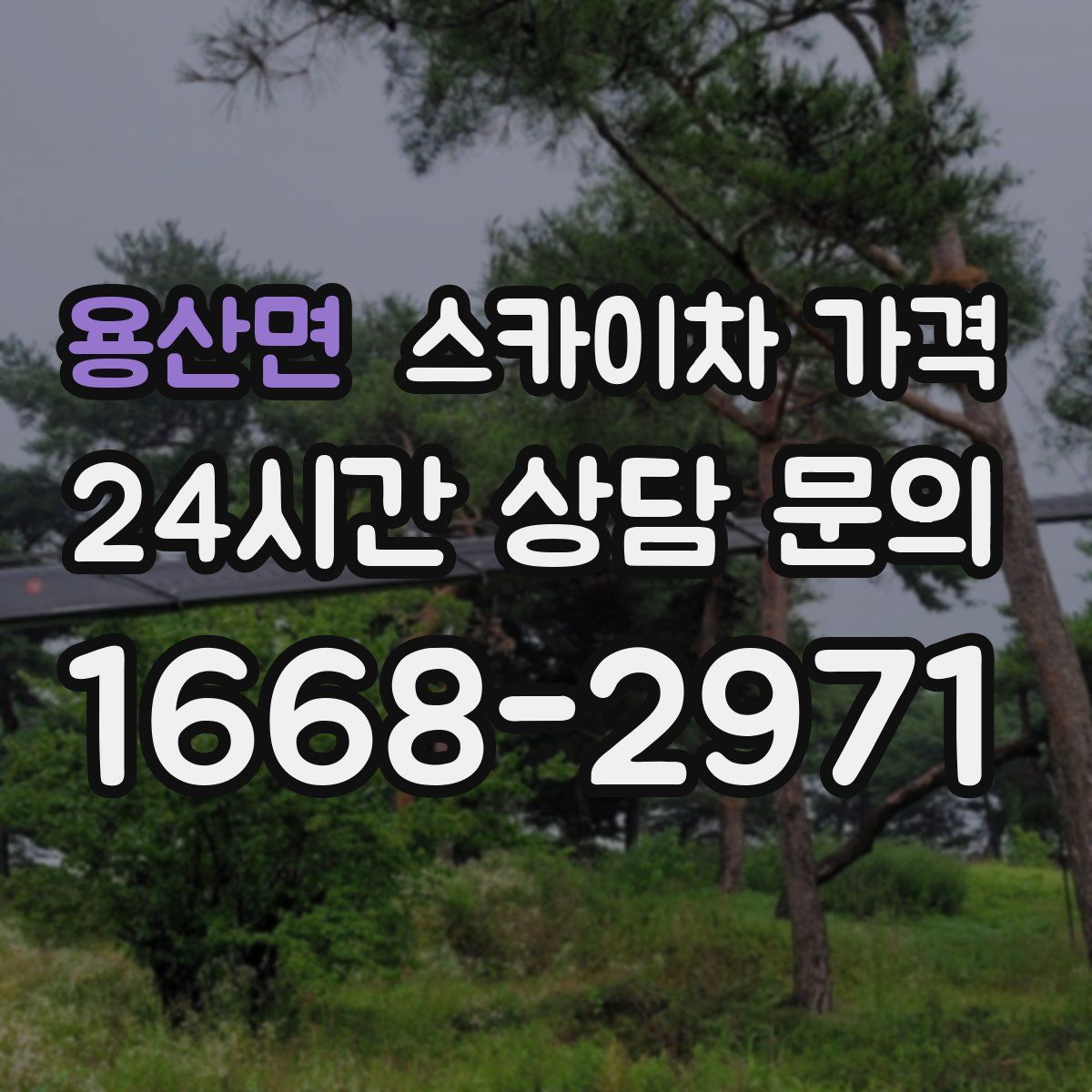 용산면 스카이차 가격