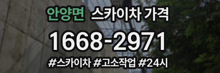 안양면 스카이차 가격