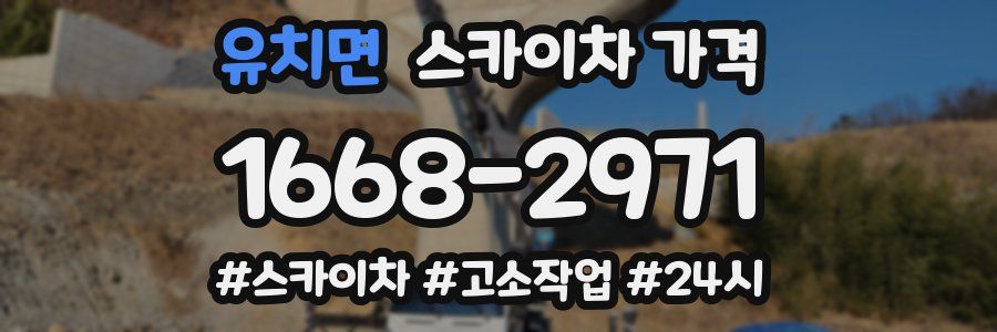 유치면 스카이차 가격