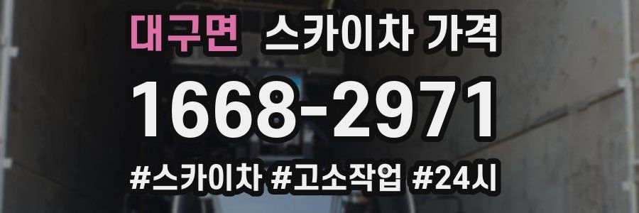 대구면 스카이차 가격