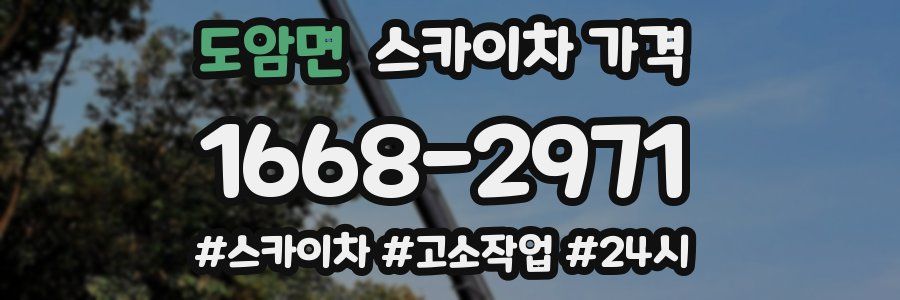 도암면 스카이차 가격