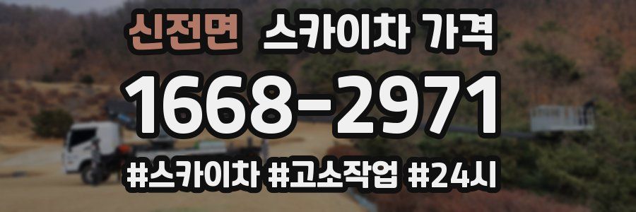 신전면 스카이차 가격