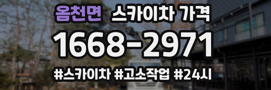 옴천면 스카이차 가격