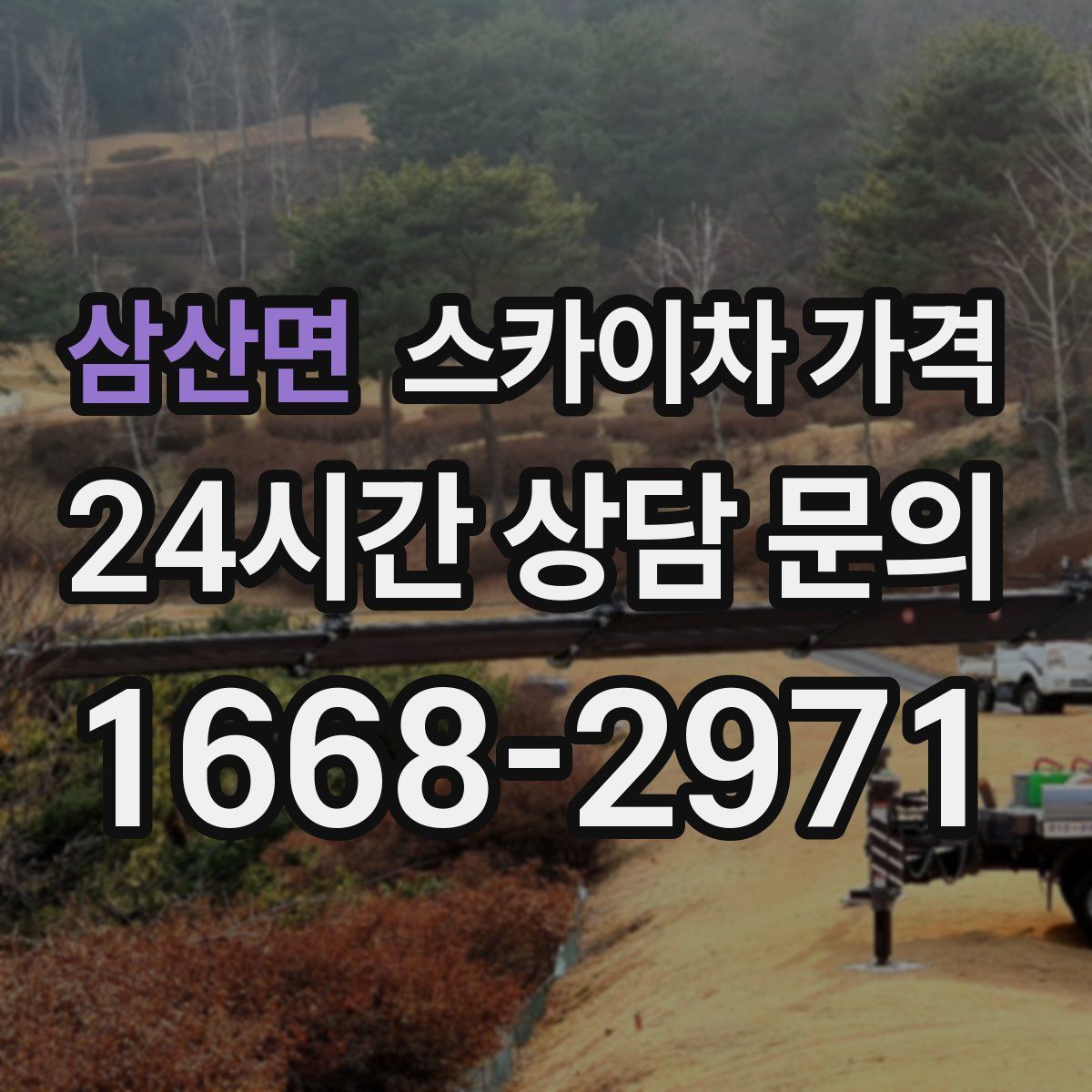 삼산면 스카이차 가격
