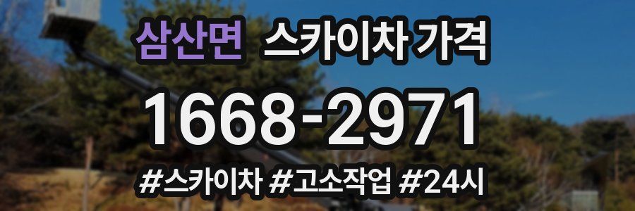 삼산면 스카이차 가격