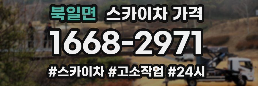 북일면 스카이차 가격