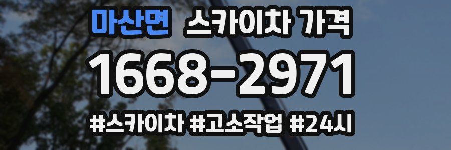 마산면 스카이차 가격