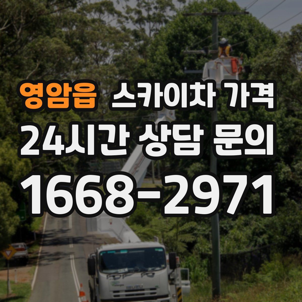 영암읍 스카이차 가격