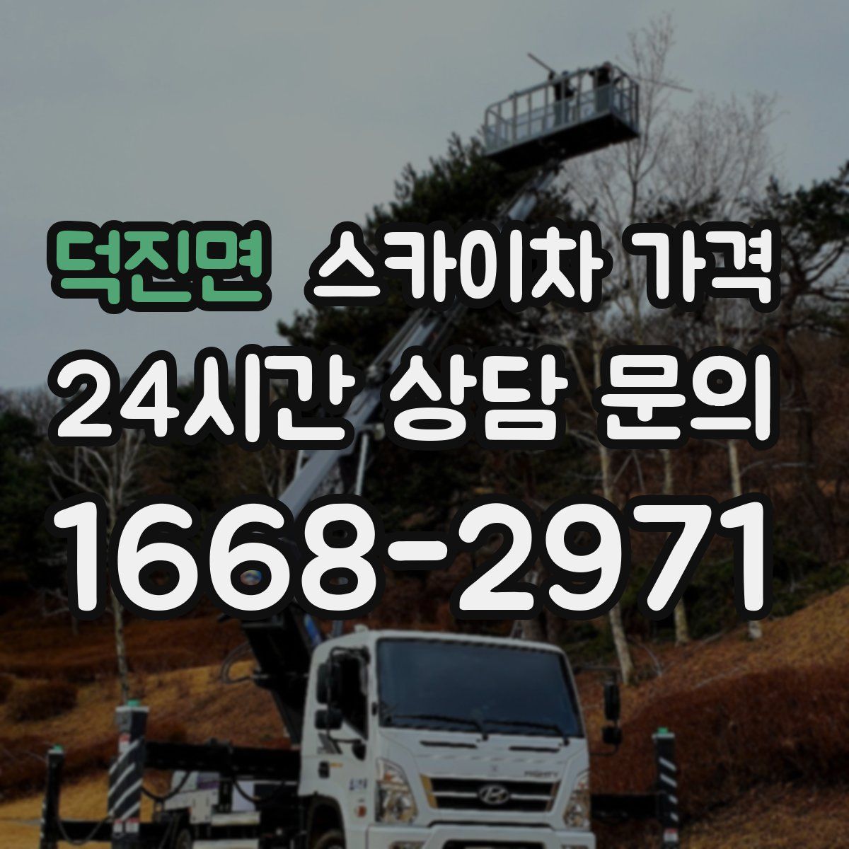 덕진면 스카이차 가격