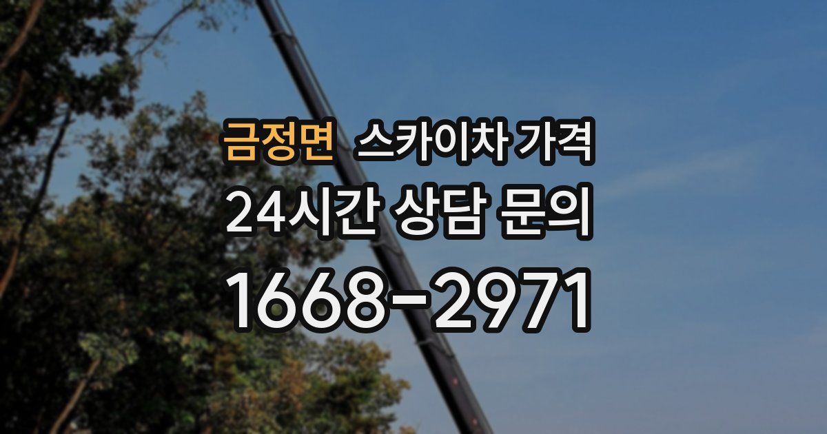 금정면 스카이차 가격