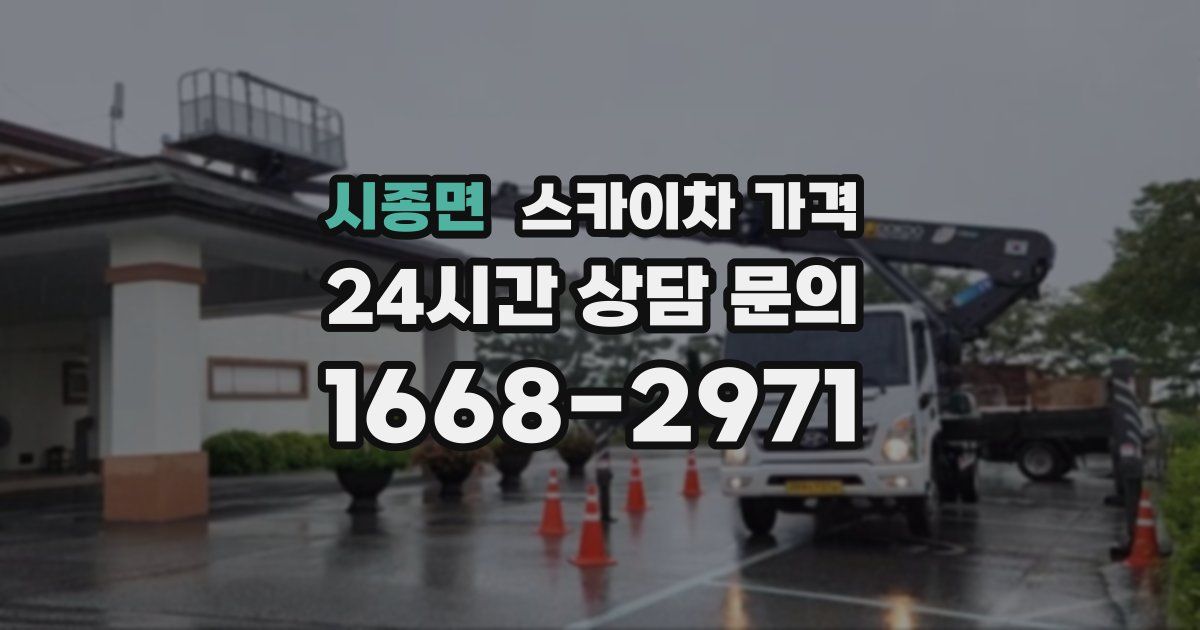 시종면 스카이차 가격