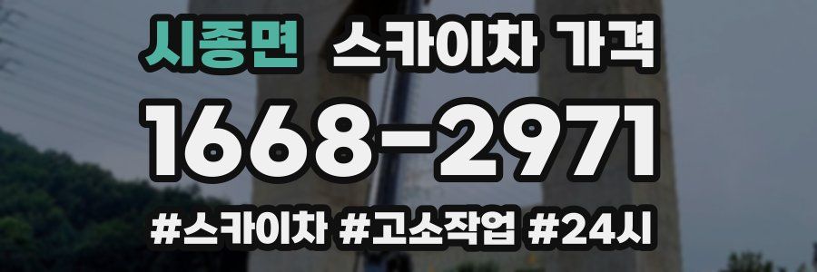 시종면 스카이차 가격