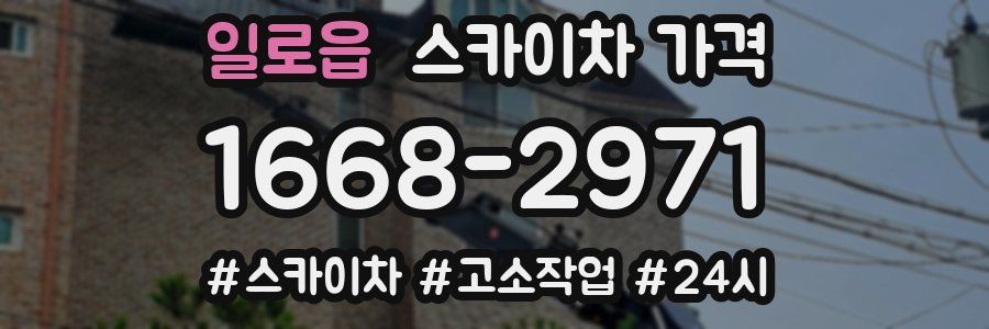 일로읍 스카이차 가격